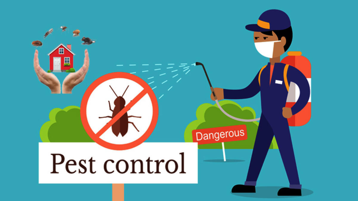 The Importance of Regular Pest Inspections