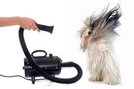 Blow-Dried out Satisfaction: Unleashing the strength of Expert Dog Grooming Dryers