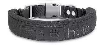 Understanding the Benefits of the Halo Dog Collar