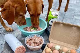 Raw Dog Food Diet: Understanding the Basics for Canine Health