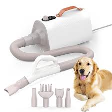 The Ideal Dog Blow Dryer for Long-Haired Types