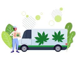 Weed dispensary Review: Exploring the Realm of Premium Marijuana