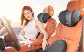 Tesla Headrest Pillows: Essential Accessories