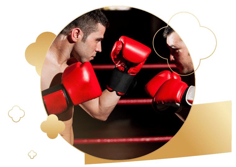 Mastering Online Boxing Betting: Tips for Success