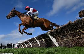 Book Your Cheltenham Festival Hospitality Tickets for 2025